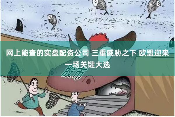 网上能查的实盘配资公司 三重威胁之下 欧盟迎来一场关键大选