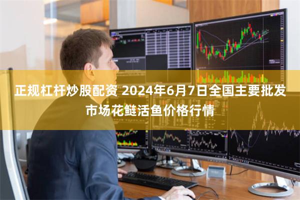 正规杠杆炒股配资 2024年6月7日全国主要批发市场花鲢活鱼价格行情