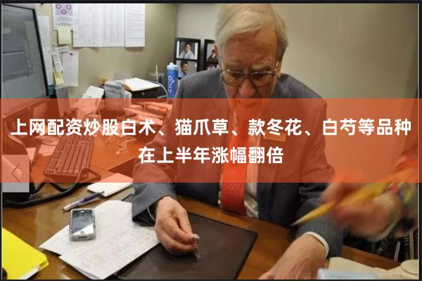 上网配资炒股白术、猫爪草、款冬花、白芍等品种在上半年涨幅翻倍